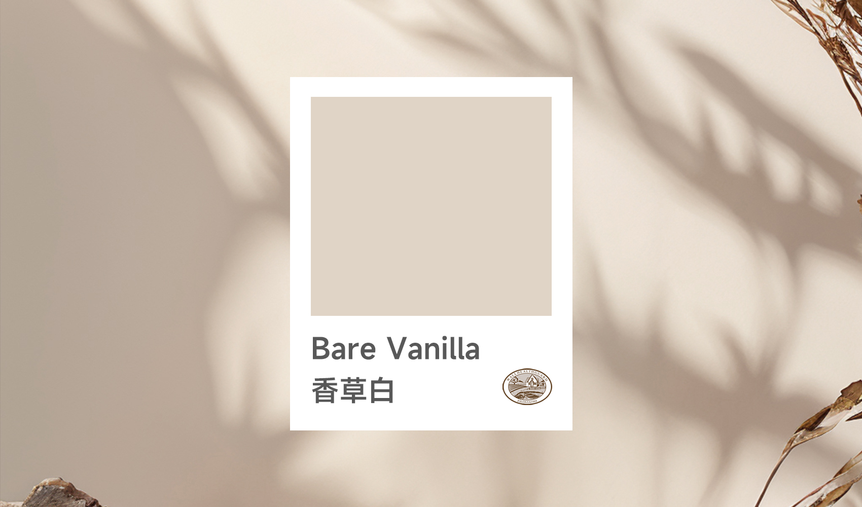 Analysis of Color Trends for Autumn and Winter 2025: Why "Bare Vanilla" Will Become a New Favorite in Home Furnishings?